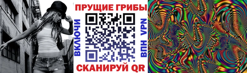 Купить закладки  Снежногорск  Псилоцибиновые грибы мухоморы 